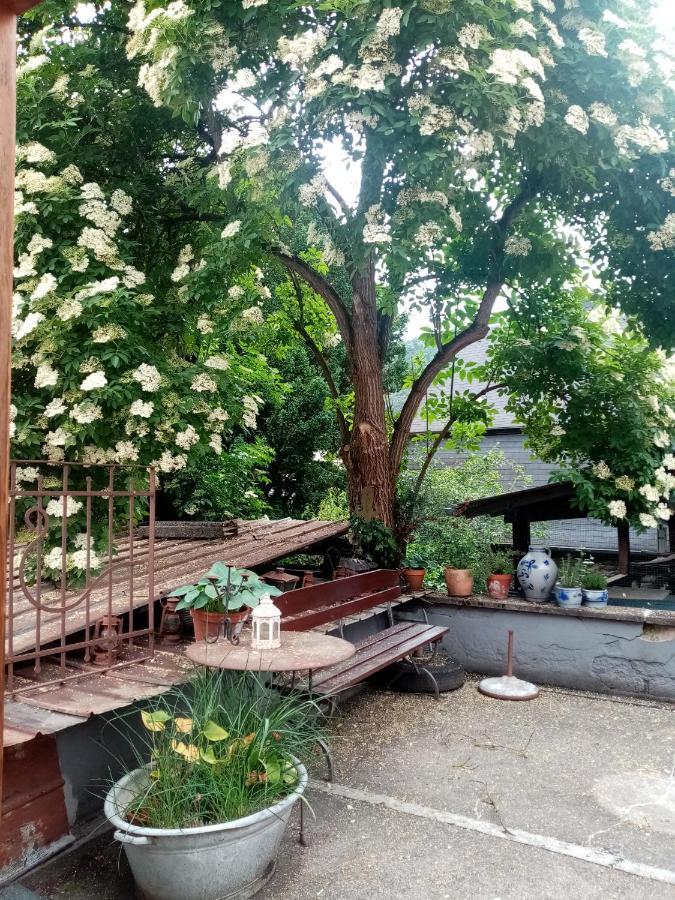 푼데리크 Moselhaus Tante Emma 빌라 외부 사진